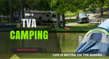 Exploring the Great Outdoors: A Beginner's Guide to TVA Camping
