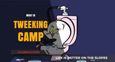 Decoding Tweeking Camp: Understanding the Slang and Its Implications