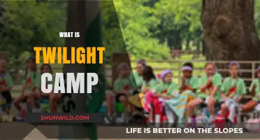 Exploring the Enchantment: What is Twilight Camp?