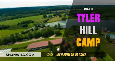 Exploring Tyler Hill Camp: A Haven for Outdoor Enthusiasts