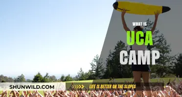 Exploring the Exciting World of UCA Camps: A Comprehensive Guide