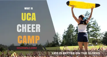 Discover the Ultimate UCA Cheer Camp Experience: Fun, Skills, and Team Spirit