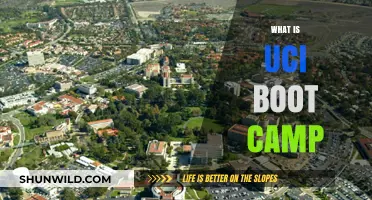 UCI Boot Camp: Unlocking Tech Careers Through Intensive Training