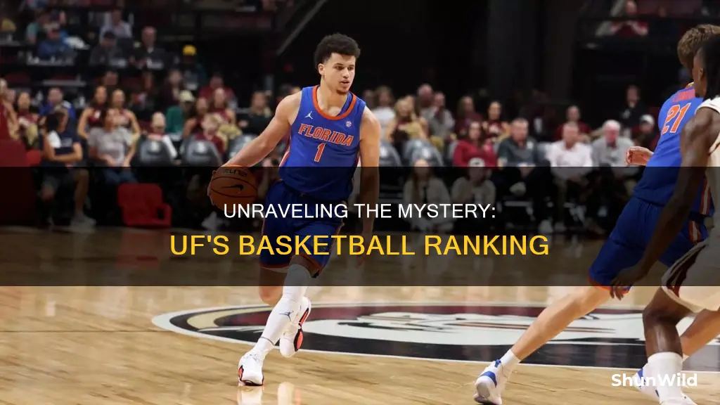 what is uf ranked in basketball