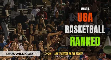 Georgia Bulldogs Basketball: Ranked High, Going Higher
