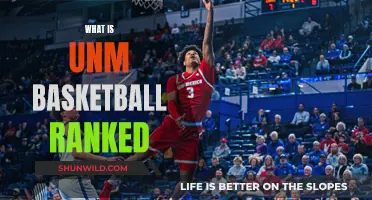 Unm Basketball's Rising Rank: A Season in Review