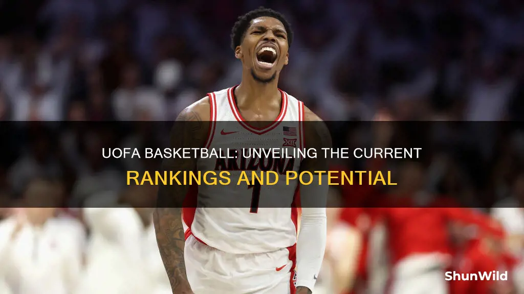 what is uofa basketball ranked