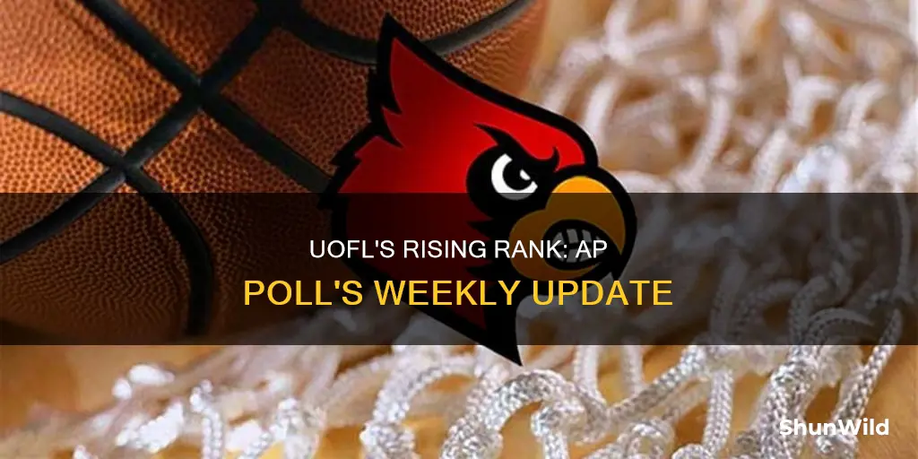 what is uofl basketball ranked ap poll