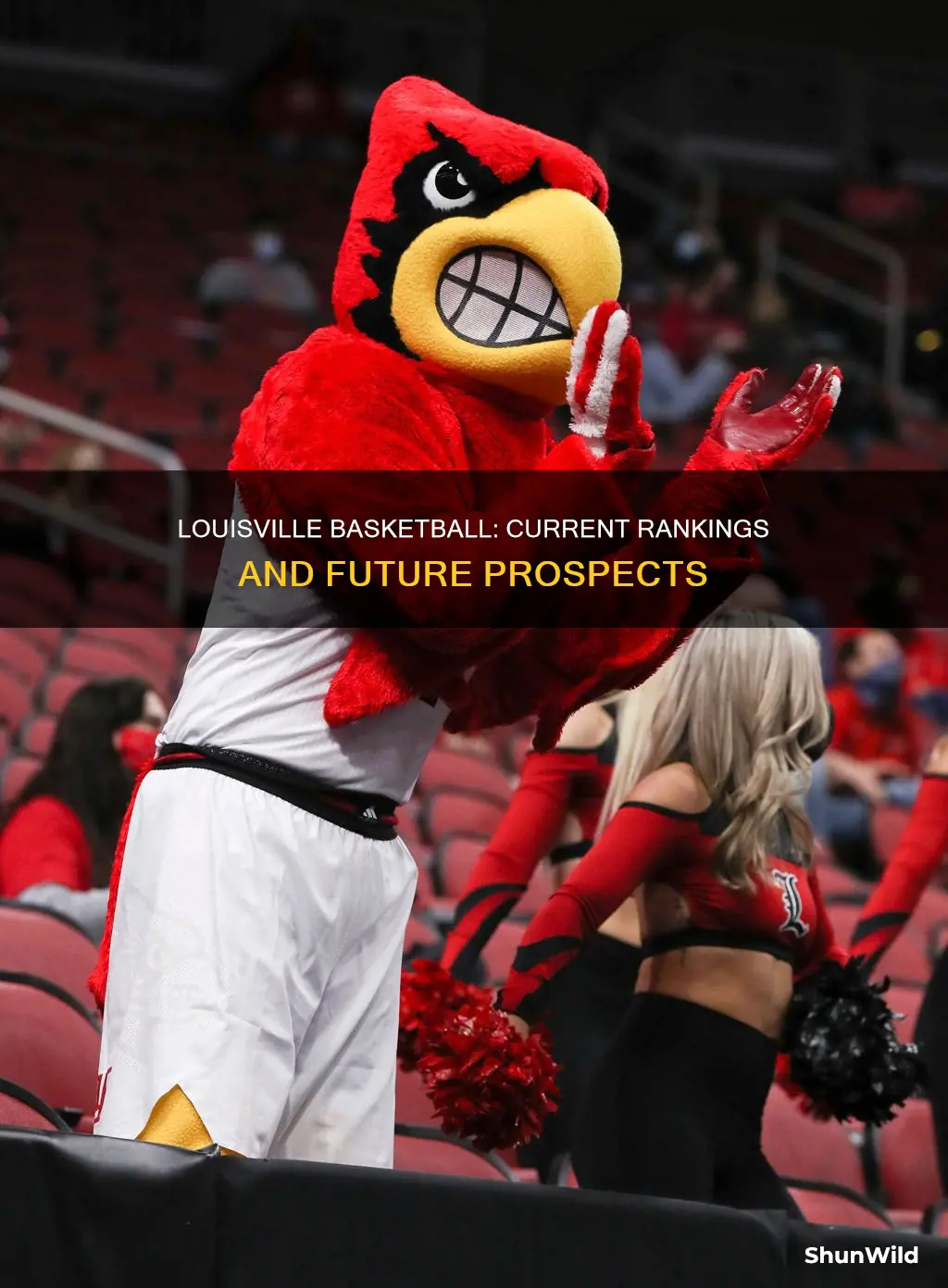 what is uofl basketball ranked