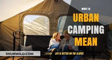 Exploring the Essence of Urban Camping: A Beginner's Guide