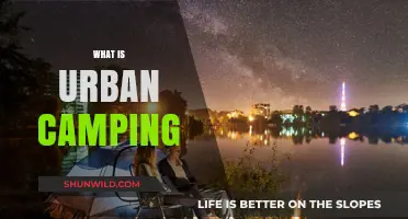 Exploring Urban Camping: City Adventures Under the Stars