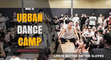 Exploring the Vibrancy of Urban Dance Camps