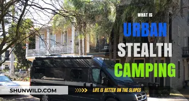 Exploring the Art of Urban Stealth Camping: A Beginner's Guide