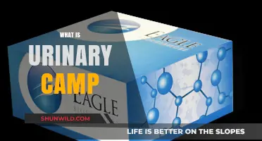 Understanding Urinary Camps: A Comprehensive Guide