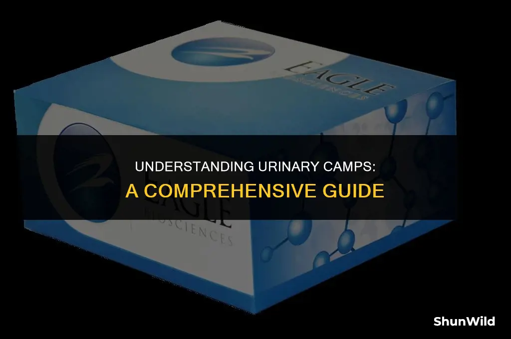 what is urinary camp