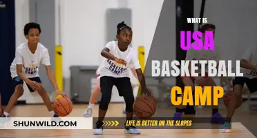 Exploring the World of USA Basketball Camps: A Comprehensive Guide