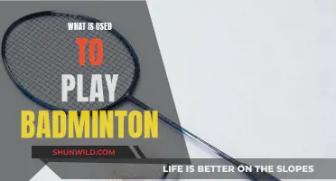 Badminton Essentials: Rackets and Shuttlecocks