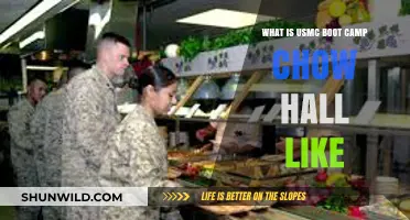 Inside USMC Boot Camp Chow Hall: Meals, Rules, and Marine Life