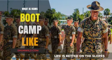 Inside USMC Boot Camp: Rigorous Training, Discipline, and Transformation Explained