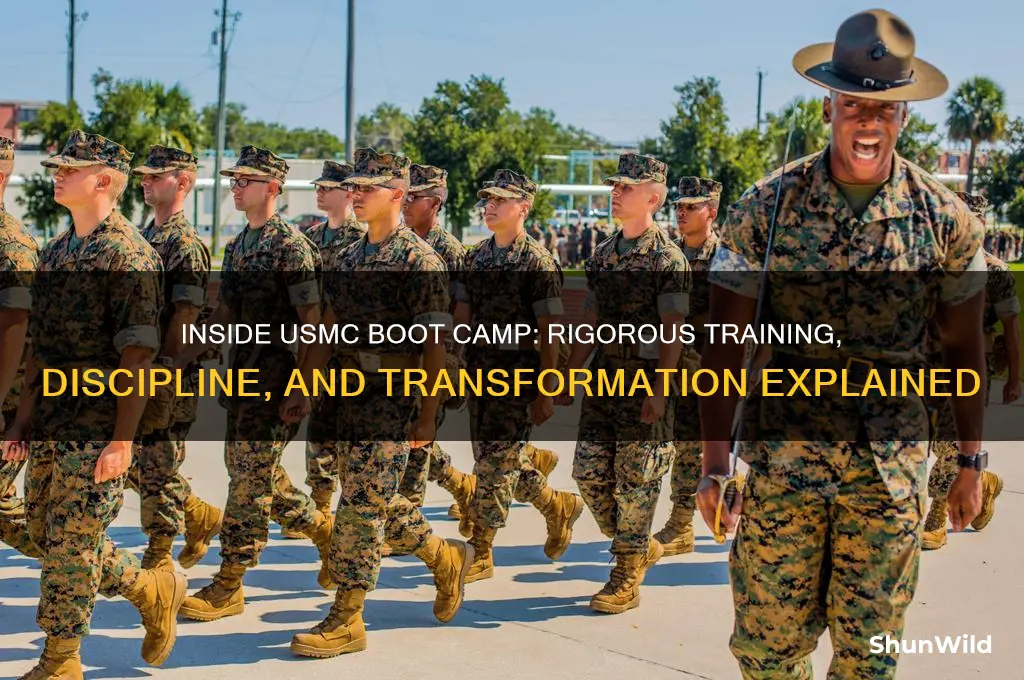 what is usmc boot camp like