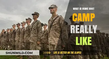 Inside USMC Boot Camp: Real Experiences, Challenges, and Transformations