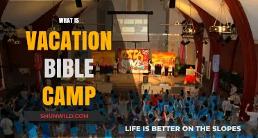 Exploring Faith and Fun: What is Vacation Bible Camp?