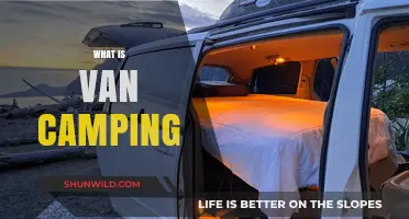 Exploring the Great Outdoors: A Beginner's Guide to Van Camping