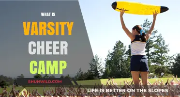 Exploring the World of Varsity Cheer Camps: A Comprehensive Guide