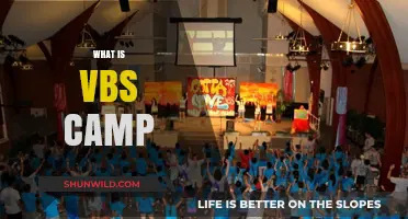 Exploring the Exciting World of VBS Camps: A Comprehensive Guide