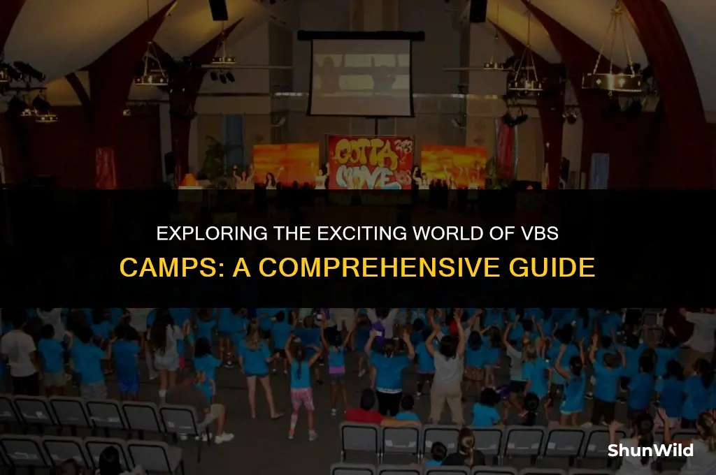 what is vbs camp
