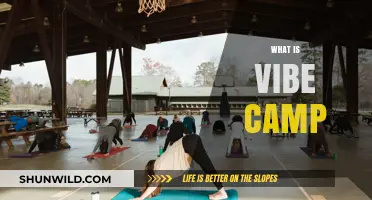 Exploring the Essence of Vibe Camp: A Journey into Wellness