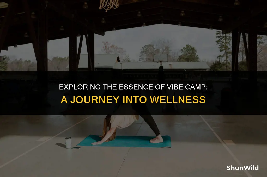 what is vibe camp