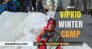 Unveiling VIPKID Winter Camp: A Fun-Filled Learning Adventure