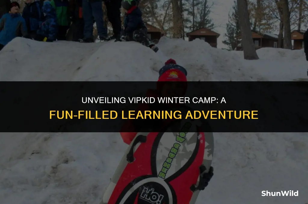 what is vipkid winter camp