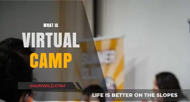 Exploring the World of Virtual Camps: A Comprehensive Guide