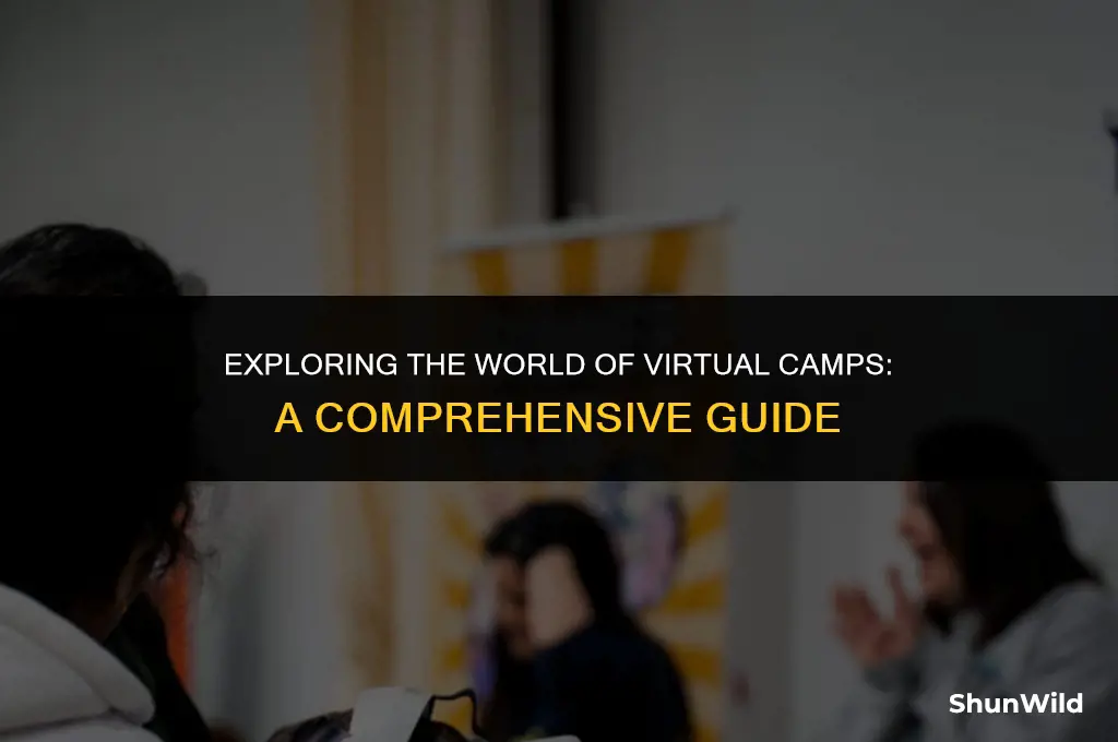 what is virtual camp