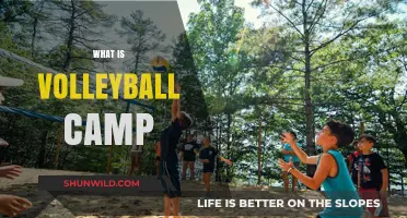 Exploring the Exciting World of Volleyball Camps