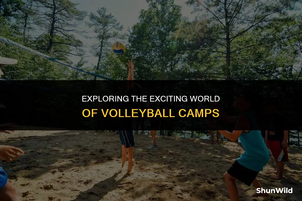 what is volleyball camp