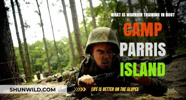 Warrior Training at Parris Island Boot Camp: What to Expect