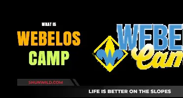 Exploring the Adventures of Webelos Camp: A Guide for Young Scouts
