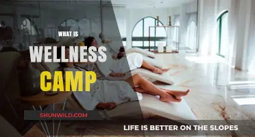 Discover Rejuvenation: What Is a Wellness Camp?