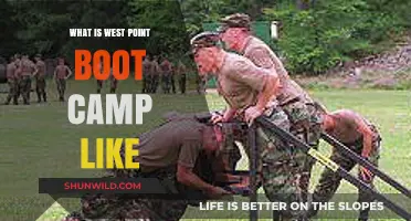 Inside West Point Boot Camp: Rigor, Discipline, and Transformation Revealed