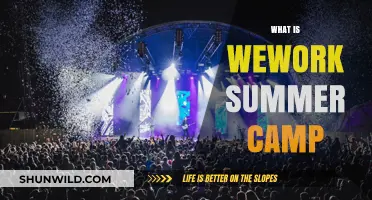 Exploring the Exciting World of WeWork Summer Camp