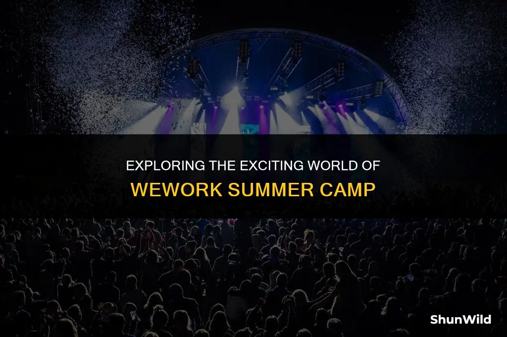 what is wework summer camp