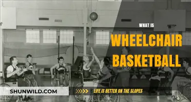 Wheelchair Basketball: A Sport for All
