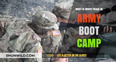 Understanding the White Phase: Army Boot Camp's Initial Training Stage