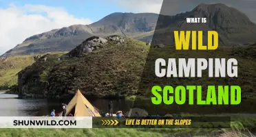 Exploring the Untamed Beauty: A Guide to Wild Camping in Scotland
