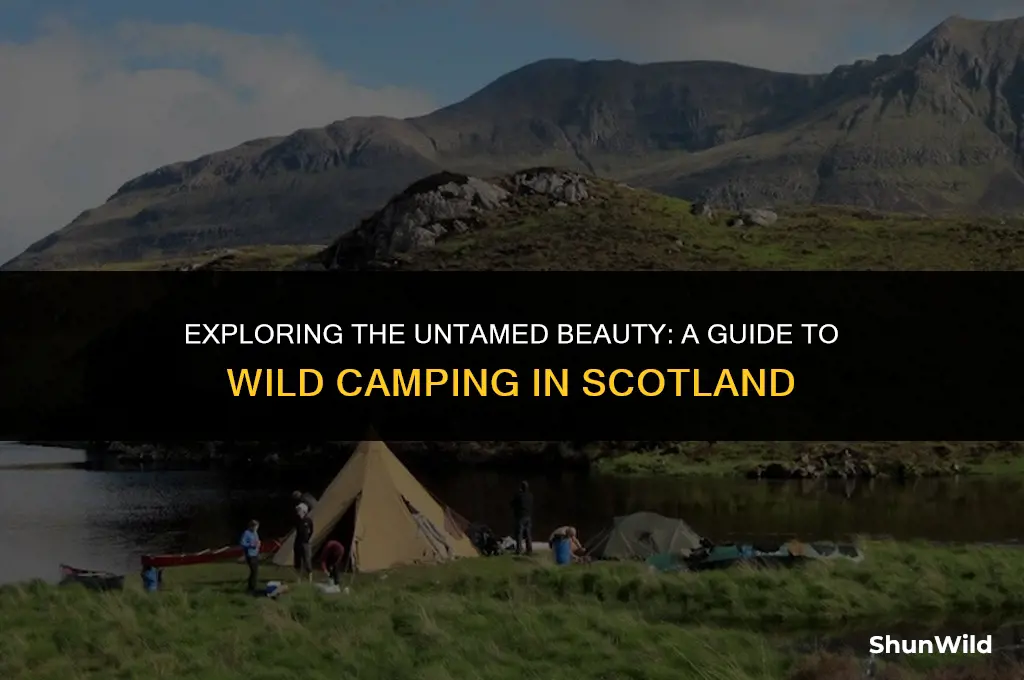 what is wild camping scotland
