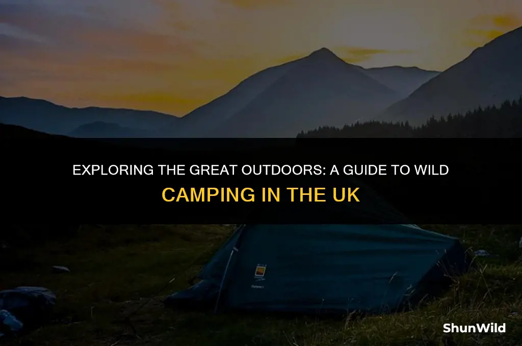what is wild camping uk