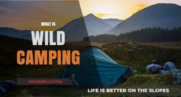 Exploring the Freedom of Wild Camping: A Beginner's Guide
